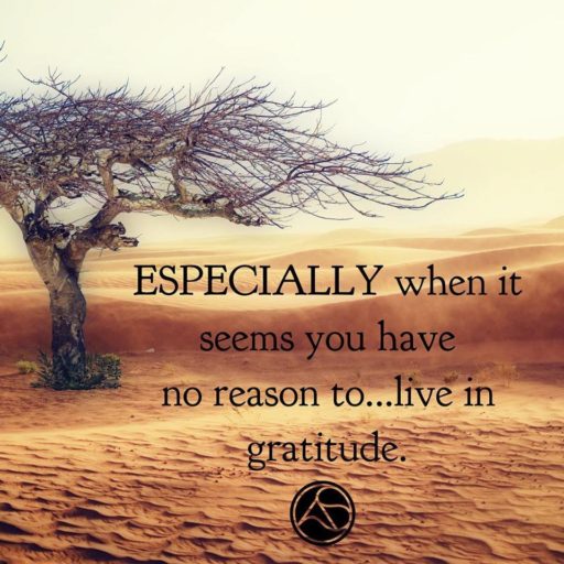 Live in Gratitude Image
