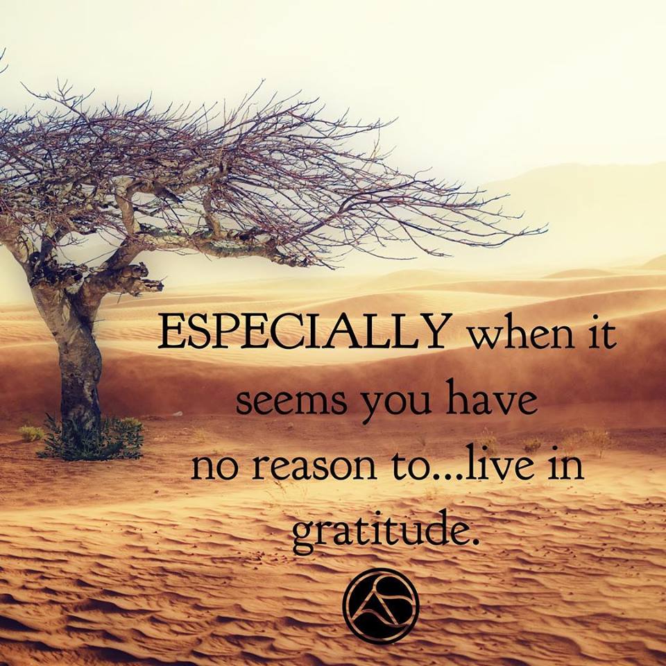 Live in Gratitude Image